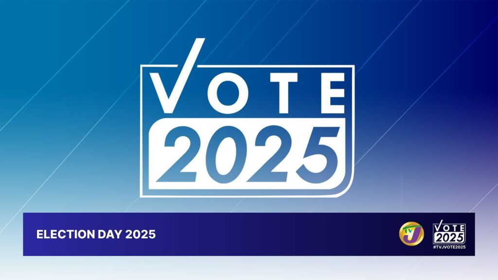 What Is Election Day 2025? Elections Coming Up This November